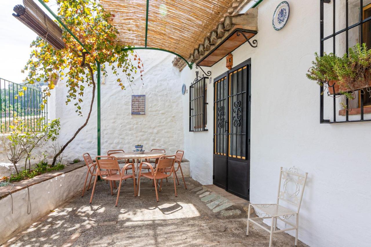 Cuevas El Abanico - Vtar Vivienda Turistica De Alojamiento Rural グラナダ エクステリア 写真